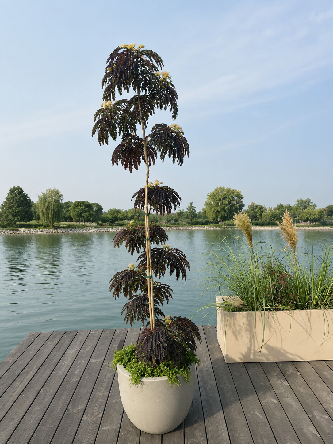 Baumpflanzung auf Terrasse Stadtgarten Wien